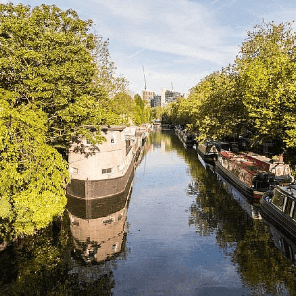 زيارة افاموسا